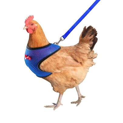 1pc Poultry Chicken Duck Goose Harness Vest With 1pc Adjustable Breathable Leash