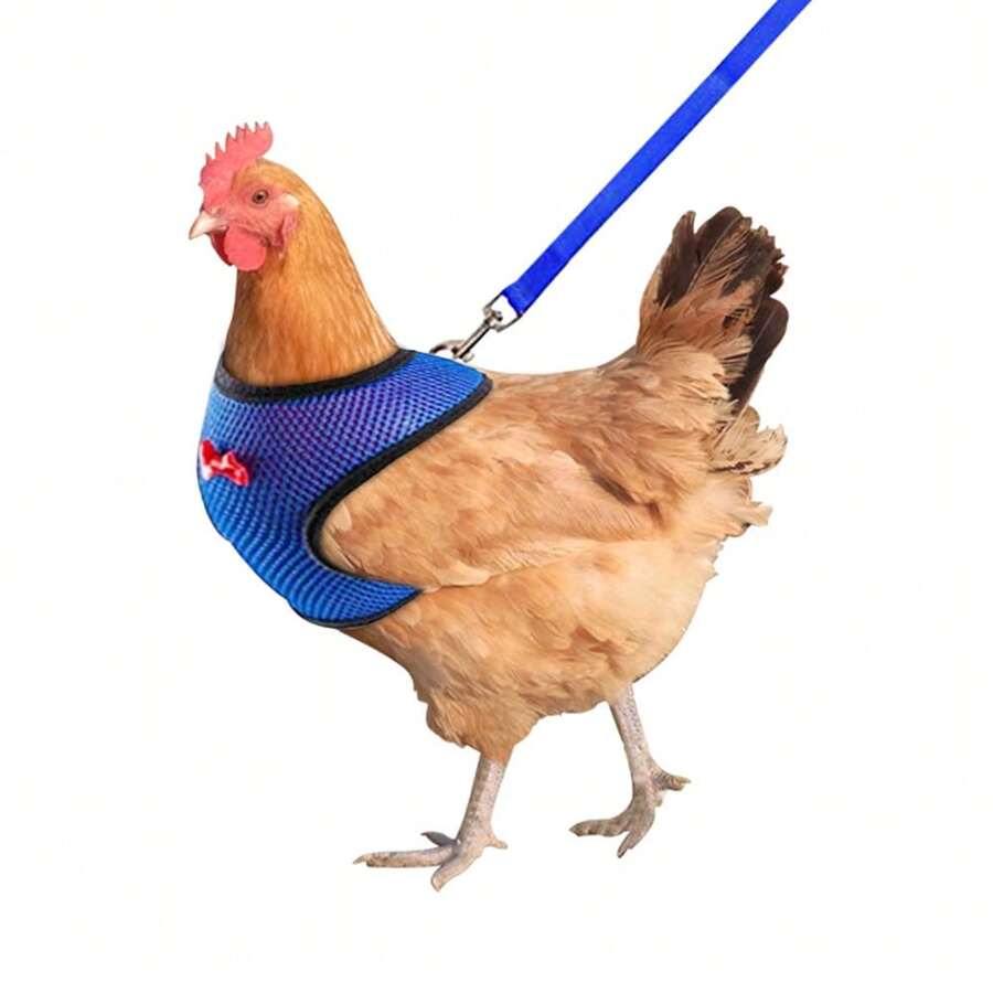1pc Poultry Chicken Duck Goose Harness Vest With 1pc Adjustable Breathable Leash