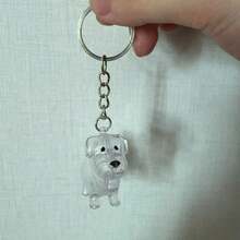 1 件宠物毛发收集透明亚克力钥匙扣，适合佩戴，纪念宠物，表达对宠物的思念