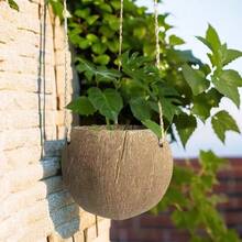 Maceta colgante de cáscara de coco, cáscara de coco natural, pulida a mano, cuerda para colgar, maceta, decoración retro de granja y restaurante, soporte para plantas, maceta para flores, canasta para flores - Café integral - Ver 7