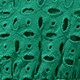 Verde oscuro