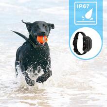 Electric Pet Dog Training Collar Shock Anti-Bark Electronic Remote Rechargeable - default - View 5