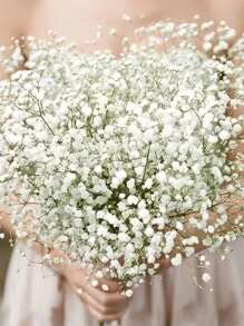 100支仿真满天星花，假满天星，玫瑰满天星仿真花，满天星盆栽，满天星花，满天星仿真花束，适用于婚礼新娘捧花、家居装饰、婚礼派对家居装饰DIY配件、情人节、礼物、毕业典礼 - 塑料花！圣诞家居装饰 - 綠色 - 查看 4