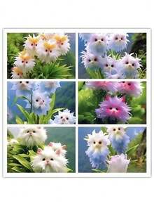 Reyrs Vitality Seeds Rich Fragrance Heat-Resistant Collection Of Flowers, Potted Plants, Green Plants, Cold-Resistant Cats, Color-Absorbing, Flowers, Orchids, Indoor And Outdoor Flowers, Formaldehyde Removal Resistant To Dryness And Able To Survive - 桃花貓[四季花開]5球 - 查看 2