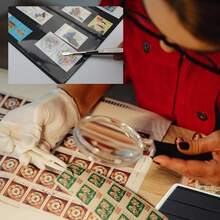 Páginas sueltas para álbum de sellos, 10 hojas (20 páginas) de páginas de sellos de 7 filas