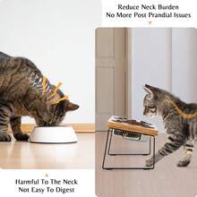 加高猫食盆和水盆，2个不锈钢猫食盆，带竹架，倾斜加高防呕吐竹架和猫食盆，适用于室内猫和宠物 - 彩色 - 查看 2