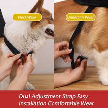 Ailes en feutre pour animaux de compagnie pour Halloween, costumes de chauves-souris créatifs pour chats, petits chiens et chiens. Accessoires et vêtements amusants pour la fête de transformation des animaux de compagnie. Fournitures pour animaux de compagnie - Multicolore - Voir 7