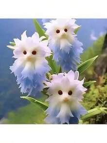 Reyrs Vitality Seeds Rich Fragrance Heat-Resistant Collection Of Flowers, Potted Plants, Green Plants, Cold-Resistant Cats, Color-Absorbing, Flowers, Orchids, Indoor And Outdoor Flowers, Formaldehyde Removal Resistant To Dryness And Able To Survive - 混色[四季花開]10球 - 查看 2