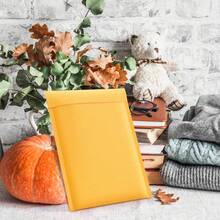 10PCS Yellow Kraft Paper Bubble Mail Bag With Padded Envelope And Self Sealing Bag,For School Supplies,Back To School - Multicolor - View 6