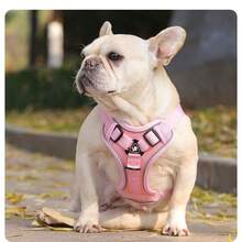 1 件装反光透气宠物胸背带牵引绳，背心式胸带，适用于狗猫，可用于猫/狗 - 粉色 - 查看 5