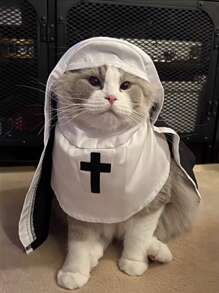 3 Sizes Pet Cat/Dog Nun Costume Clothing, Pets Halloween Costumes, Dogs, Cats Halloween Costumes, Cute Funny Sister Habit Dress Outfit , Halloween Costumes For Small Medium Large Pets, Cosplay Party Decorations Halloween Halloween Costumes
