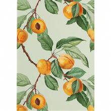 1pc/3PCS Áp phích nghệ thuật treo tường Khung tùy chọn Hiện đại Retro Ăn uống Trái cây Cam Bơ Cà chua Cà phê Áp phích và bản in Tranh vải Canvas Nghệ thuật treo tường Hình ảnh cho Thực phẩm Trang trí nhà bếp - Nhiều màu - Xem 74