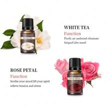 1 Stück rein natürliches ätherisches Öl geeignet für Schlafzimmer, Badezimmer und verschiedene Szenarien, duftender ätherischer Öldiffuser, Aromatherapie Kerze, Aromatherapie Ofen Diffuser Stein, Luftbefeuchter, Auto-Aromatherapie, Haushalts-Aromatherapie ätherisches Öl (Weißer Tee, Minze, Lilie, Ozean, Rose, Jasmin, Orange, Freesie - 8 Geschmacksrichtungen zur Auswahl, 10ml/0,34 FL.OZ)