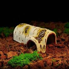 1 件桦木爬虫藏身处，适用于凤头壁虎、变色龙、蜘蛛、蛇、乌龟、角蛙和其他两栖宠物