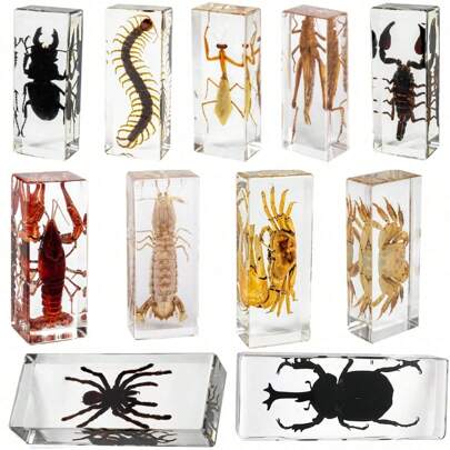 1pc Giant Centipede, Real Insect Specimen Giant Spider 8-Legged Creature, Lobster, Stag Beetle, Crab, Mantis, Black Beetle, Praying Mantis, Giant Scorpion Resin Crystal Craft Decoration, Permanent Preservation Collection, High Transparency Giant Centipede Venomous Animal Model Craft, Thousand-Legged Worm Amber Transparent Plant & Insect Model, Decorative Craft Gift Home Decor, Educational Teaching Insect Specimen Sample (Crystal Craft Is Fragile, Beware Of Bumps)
