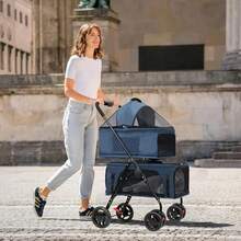 Pet Soft-Sided Carriers