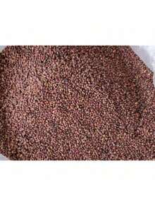 Rare Seeds 1000+ Phlox Seeds For Planting Mixed Color - Popstars Phlox Creeping Perennial Ground Cover - Annual Flower Seeds For Home And Garden - 100粒種子 - 查看 6