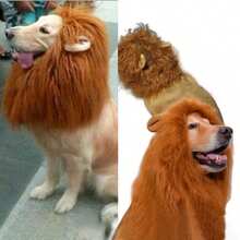 Haustier-Verwandlungen Gruseliger Hund mit Löwenohren Perücke Hut Haustier Löwen Kopfbedeckung Haustier Halloween Dekoration Löwen Kopfbedeckung Haustier Zubehör Katzen Kopfbedeckung Hunde Kopfbedeckung Hunde Halloween Accessoires Halloween Halloween Kostüme