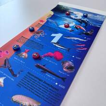 1 Set 120 cm Wissenschafts-Popularisierungs-Bildungs-Curling-Spielset - Wissenschafts-Popularisierungs-Bildungs- und Spaßspiel für Familien & Kinder ab 6 Jahren - Ideales Weihnachts-, Halloween- oder Spielgeschenk