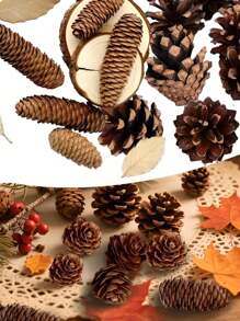 20 PIEZAS de 1-3CM Piñas en miniatura DIY para colgar en el árbol de Navidad, decoraciones de piñas de Navidad para fiesta, año nuevo y accesorios (estilo aleatorio) 30 PIEZAS Set de 10 piezas de 4-6cm Piñas en miniatura para decoraciones naturales DIY, colgantes para fiestas, decoraciones del árbol de Navidad y decoraciones de fiesta, variedad de estilos para elegir