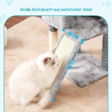 Árboles y casas para gatos