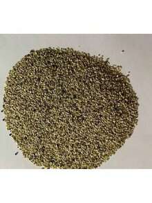 Ready To Plant Ginseng Fruit Seeds Four Seasons Planting Perennial Fruit Seed High-Yield Garden Balcony Potted Fruit Seed Seedlings Exquisite Gift Seeds - 110個 - 查看 6