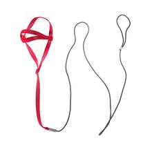 小型鹦鹉玄凤鹦鹉鸟背带可调节训练牵引绳设计防咬鸟尼龙绳带可爱翅膀可调节鸟背带牵引绳鹦鹉飞行绳带户外训练牵引绳适用于小型鹦鹉