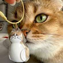 1pc Cute Transparent Pet Cat Hair Collector Box Key Chain, Decorative Bag Hanger, Cat Hair Ball Storage Accessory, Suitable For Bags, Keys Decorations, Gifts For Friends And Family