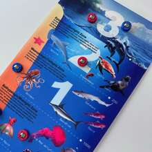 1 Set 120 cm Wissenschafts-Popularisierungs-Bildungs-Curling-Spielset - Wissenschafts-Popularisierungs-Bildungs- und Spaßspiel für Familien & Kinder ab 6 Jahren - Ideales Weihnachts-, Halloween- oder Spielgeschenk