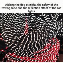 圆绳防擦伤防爆反光宠物牵引绳，适用于中大型犬的狗牵引绳 - 黑色 - 查看 5