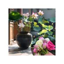 Sffgsgdfhd Heirloom Seeds Lotus Seed Bowl And 600 Lotus Seeds, Indoor And Outdoor, Pre-Seeded Mixed Color Lotus Pot, Water Lotus Seeds, Suitable For Home Decoration, Easy To Grow And Low Maintenance - 600 - Xem 5