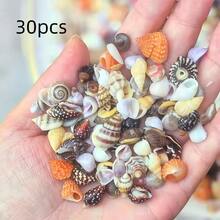 30PCS Color Mini Shell Conch Mixture, Suitable For DIY Handicraft, Scrapbook, Drift Bottle And Aquarium Decoration, Home Decoration, Random Color, Random Style Delivery - 30g - View 3