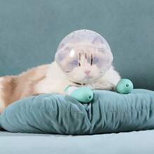 防护项圈 防咬头盔 洗澡剪指甲 防抓挠防舔宠物猫头套 防止猫咬 猫宇航员头饰 伊丽莎白项圈（小号适合2.5公斤以下猫咪，大号适合8公斤以下猫咪） - 彩色 - 查看 5