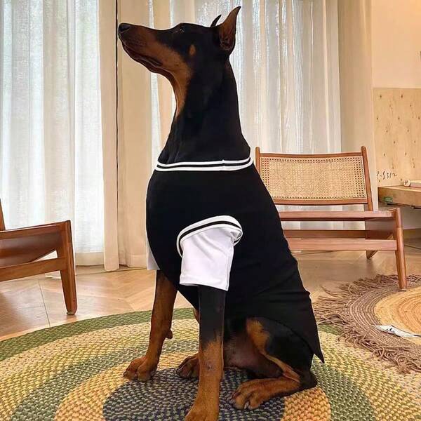 2-In-1 Breathable Mesh Pet T-Shirt, Basketball Jersey Style For Large Dogs, Stretchy & Machine Washable, Suitable For Outdoor & Indoor Wear (Mastiff, Golden Retriever, German Shepherd, Border Collie, Shiba Inu)