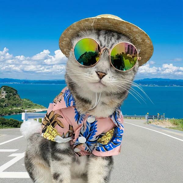Fashionable Anti-Slip And Durable Retro Round Design Pet Glasses, Dog And Cat Fashion Glasses, Pet Sunglasses, Pet Photo Accessory, Suitable For Cats, Dogs - Photography, Costume Party, Beach, Outdoors, Essential For Photo Taking, Daily Outfit Essential - Pet Accessory.