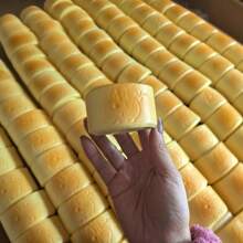 柔软减压小猫枕头玩具，创意慢回弹减压小礼物，适合送给朋友和家人 - 彩色 - 查看 12