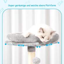 Árboles y casas para gatos