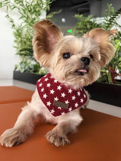 1pc Pentagram Cat & Dog Bandana Bib, Suitable For Small Dogs And Cats