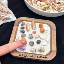 30PCS Color Mini Shell Conch Mixture, Suitable For DIY Handicraft, Scrapbook, Drift Bottle And Aquarium Decoration, Home Decoration, Random Color, Random Style Delivery - 30g - View 4