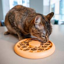 Cat Slow Feeder Bowl For Indoor Cats, Stimulating Treat Puzzle Toy, Dry Or Wet Food, 1/2 Cup Capacity, One Size, Orange,11260871 - 橘色 - 查看 9