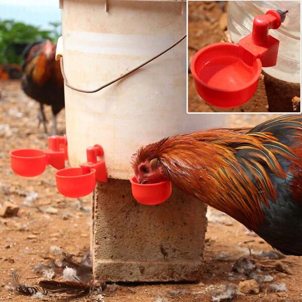12 piezas Tazas de bebida automática para pollo y pato, comedero de plástico para aves de corral, tazas de agua fáciles de instalar para gansos