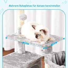 Árboles y casas para gatos