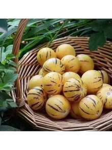 Ready To Plant Ginseng Fruit Seeds Four Seasons Planting Perennial Fruit Seed High-Yield Garden Balcony Potted Fruit Seed Seedlings Exquisite Gift Seeds - 110個 - 查看 3