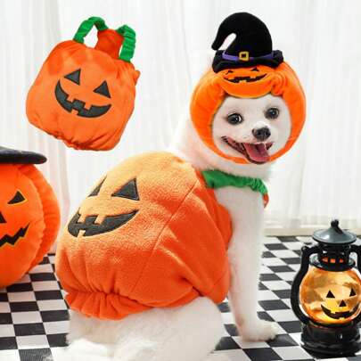 1 Stück Kürbis Hut Haustier Kostüm für Halloween, lustiges Haustier Kopfbedeckung Outfit