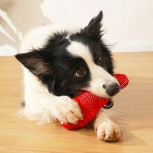 لعبة مضغ للكلاب على شكل سمكة الكلاون الحمراء لا تقهر - مطاط طبيعي متين، مناسبة للقضّاغين العنيفين، صوت تفاعلي لجذب الانتباه، رائعة للكلاب من الأحجام المتوسطة إلى الكبيرة، لعبة مضغ للقضّاغين العنيفين