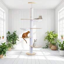 Cat Trees & Condos - 彩色 - 查看 1