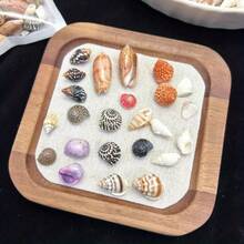 30PCS Color Mini Shell Conch Mixture, Suitable For DIY Handicraft, Scrapbook, Drift Bottle And Aquarium Decoration, Home Decoration, Random Color, Random Style Delivery - 30g - View 2