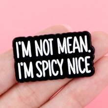"I'M NOT MEAN.I'M SPICY NICE" Enamel Pin Lapel Pins Badges On Backpack Women's Brooch Clothes Gift Jewelry Fashion Accessories - NR12316 - View 6