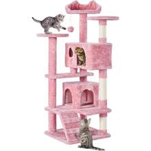 Cat Trees & Condos