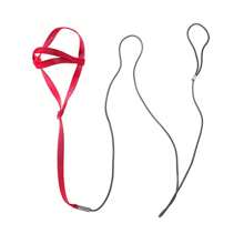 小型鹦鹉玄凤鹦鹉鸟背带可调节训练牵引绳设计防咬鸟尼龙绳带可爱翅膀可调节鸟背带牵引绳鹦鹉飞行绳带户外训练牵引绳适用于小型鹦鹉